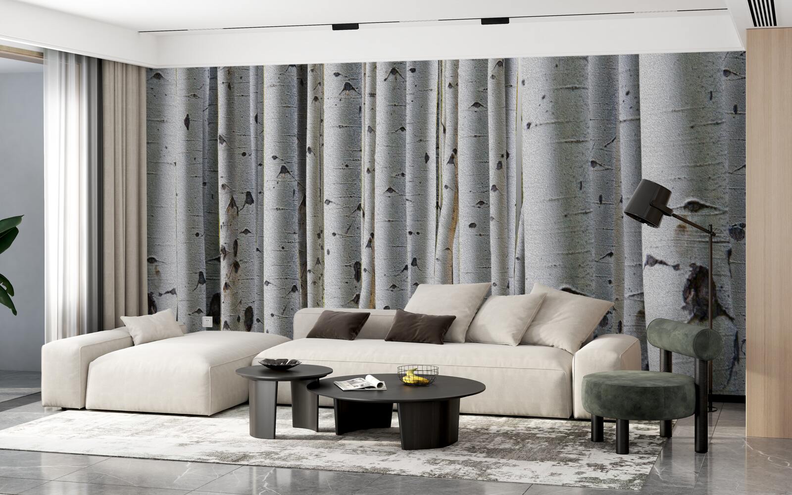 Fototapeta brezový les