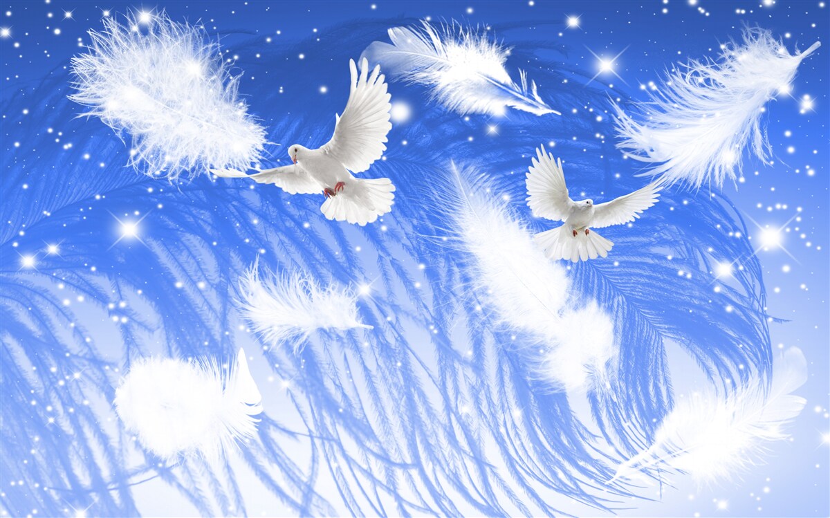 Fototapeta pohybujúce sa v atmosfére jasných vtákov a ich operenia