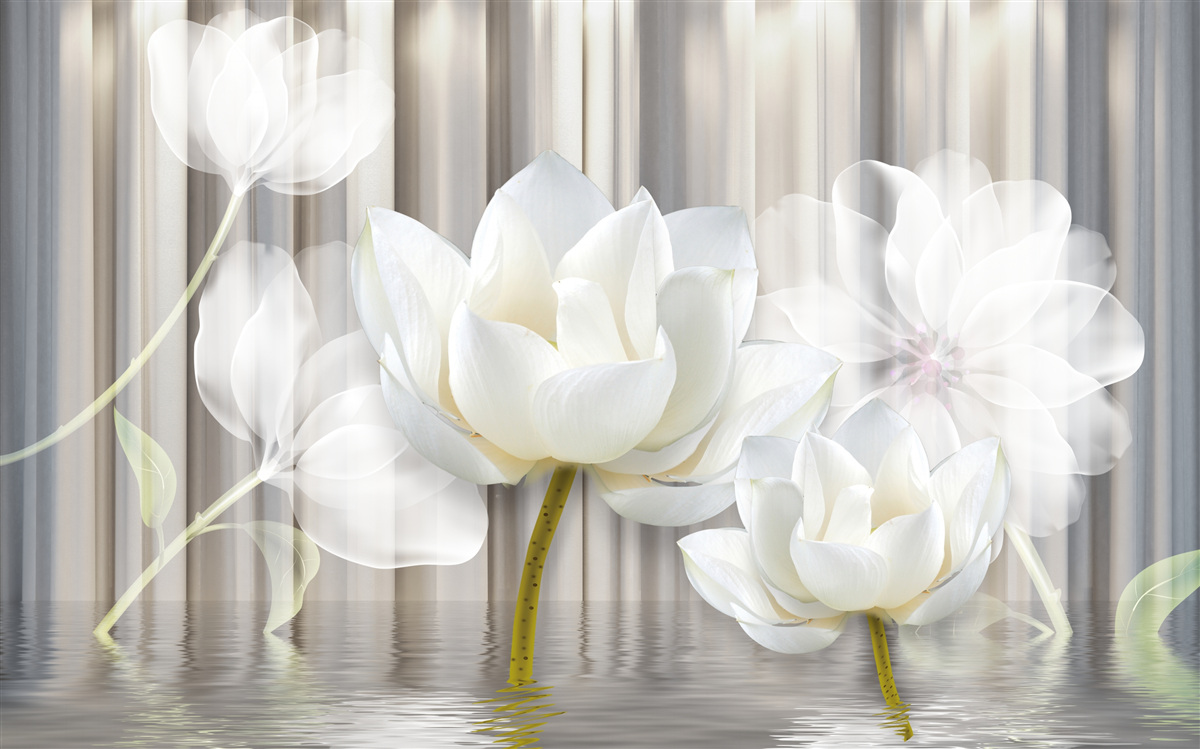 Fototapeta biele tulipány, svetlo ako vzduch