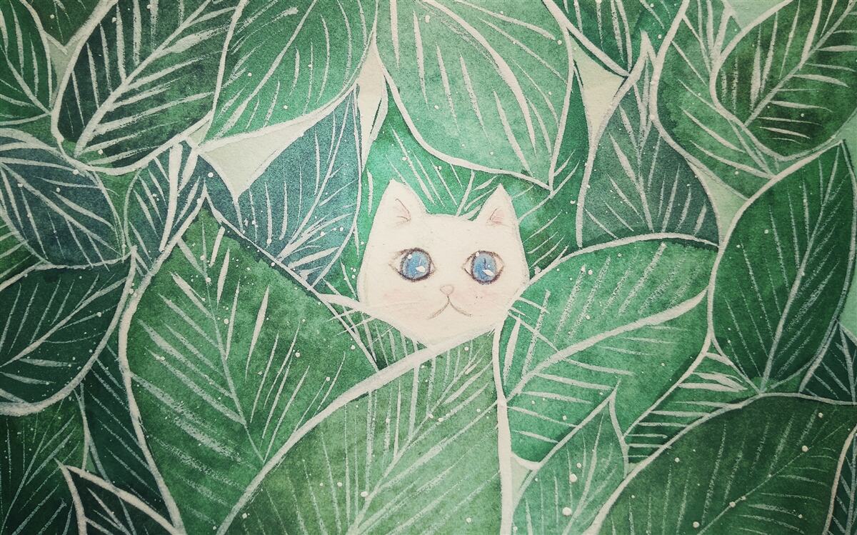 Fototapeta malá mačka sa stratila medzi zelenými listami