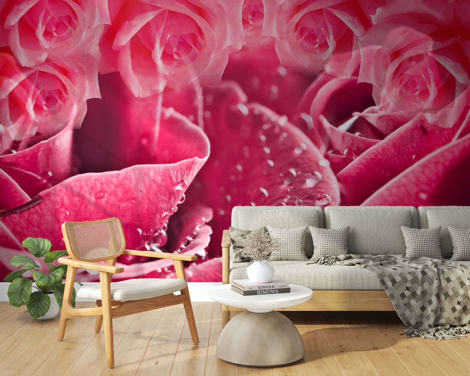 Fototapeta kvapky rosy na ruži