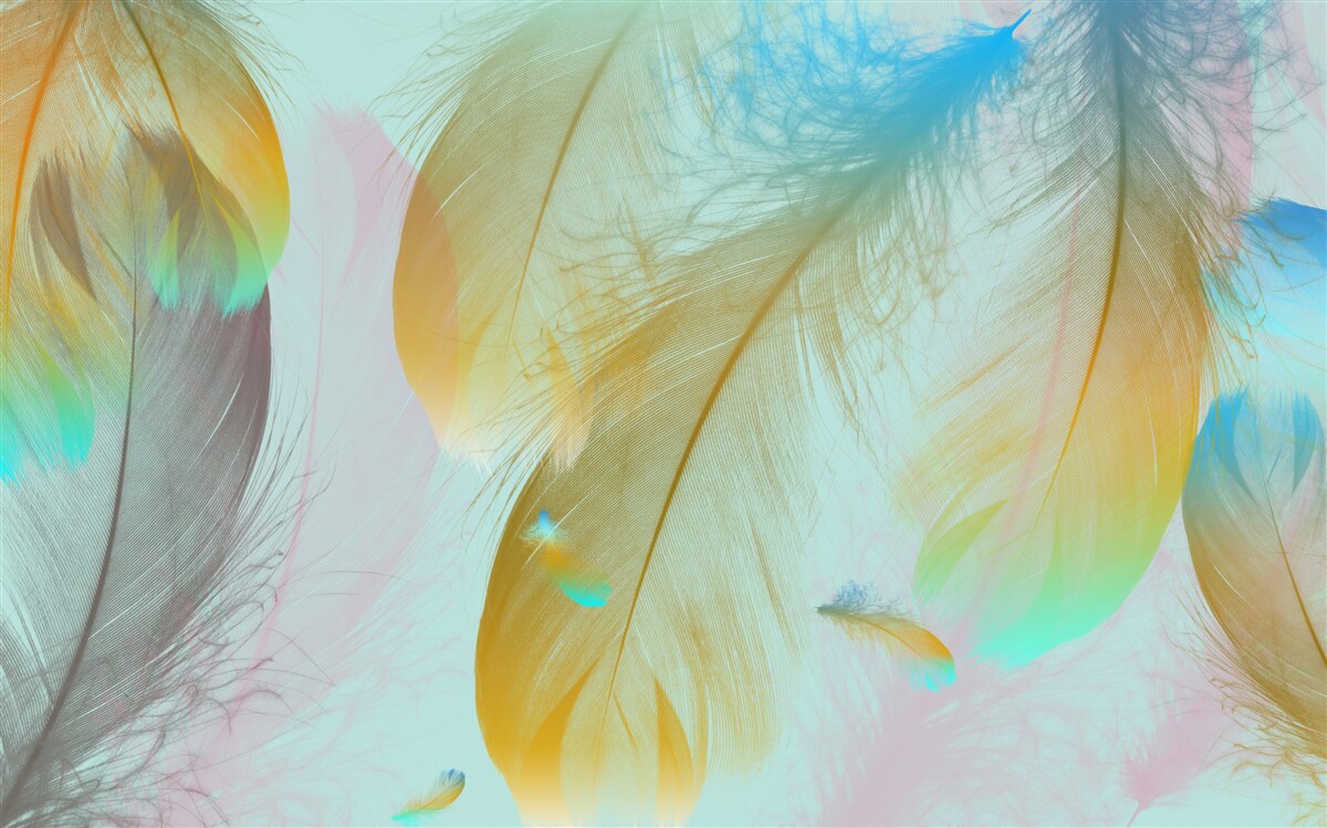 Fototapeta lietajúce mäkké perie