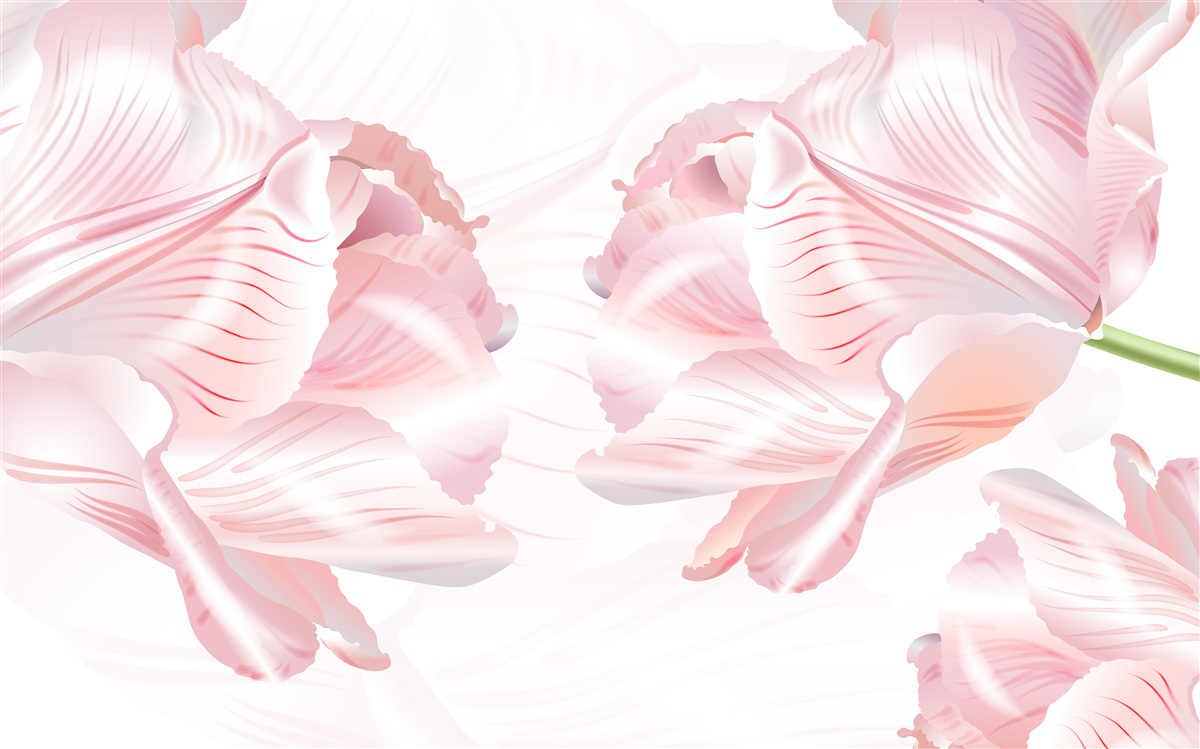 Fototapeta ružové tulipány s romantickou náladou