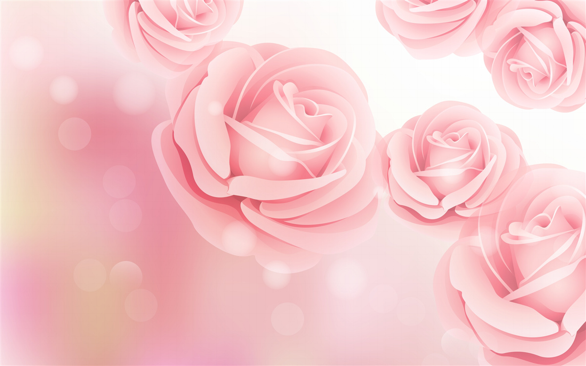 Fototapeta jemné kvety ruží v ružovom odtieni