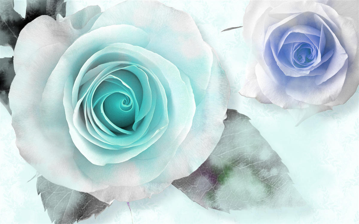 Fototapeta ruže v odtieňoch modrej a zelenej