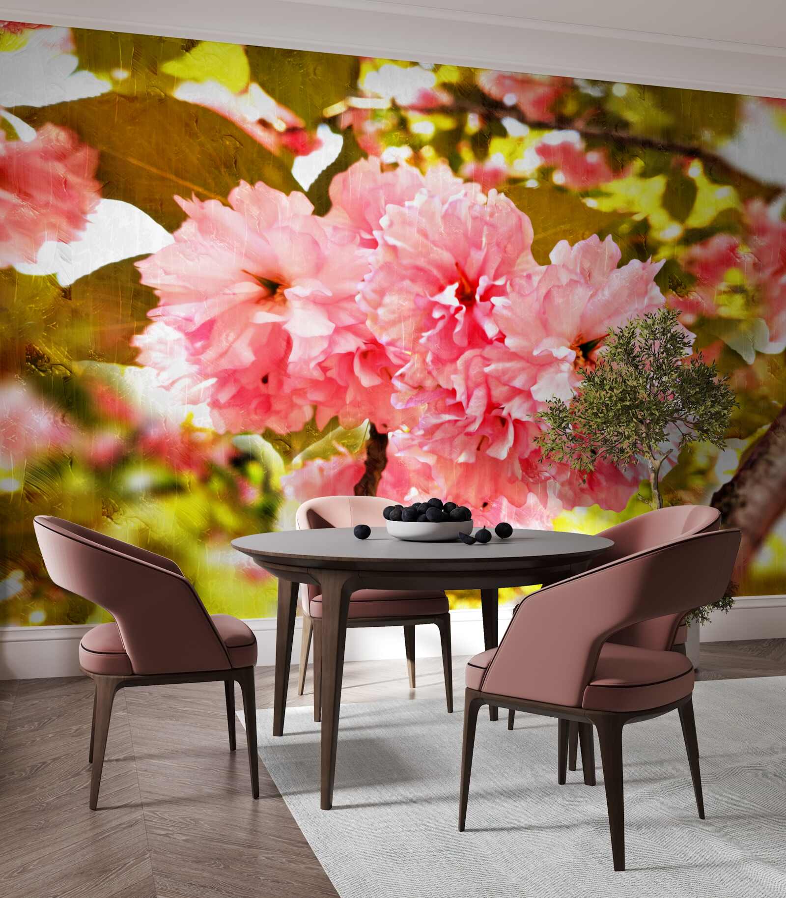 Fototapeta kanzan sakura v plnom kvete