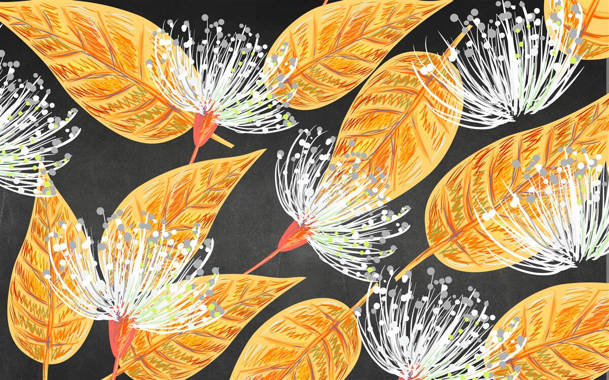 Fototapeta jesenné lístie s púpavami