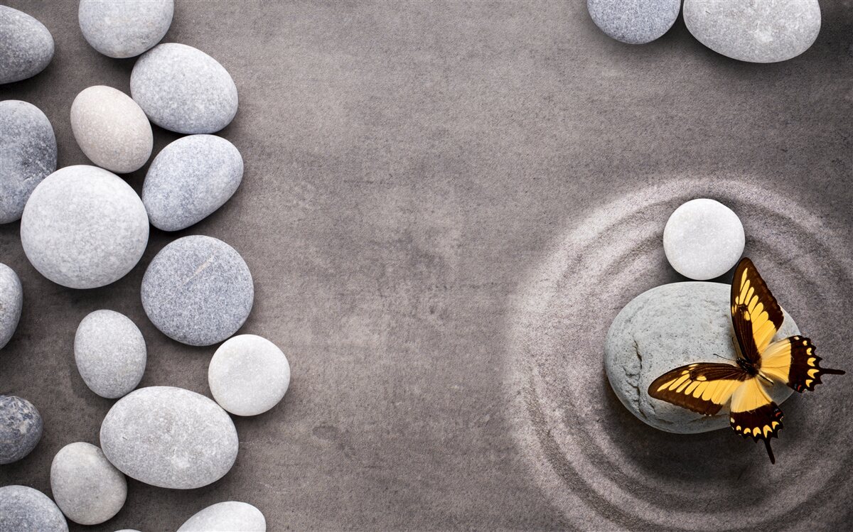 Fototapeta motýľ sedí na kameni pri jazierku