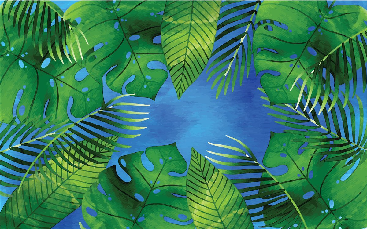 Fototapeta tropické listy otvorené modrej oblohe