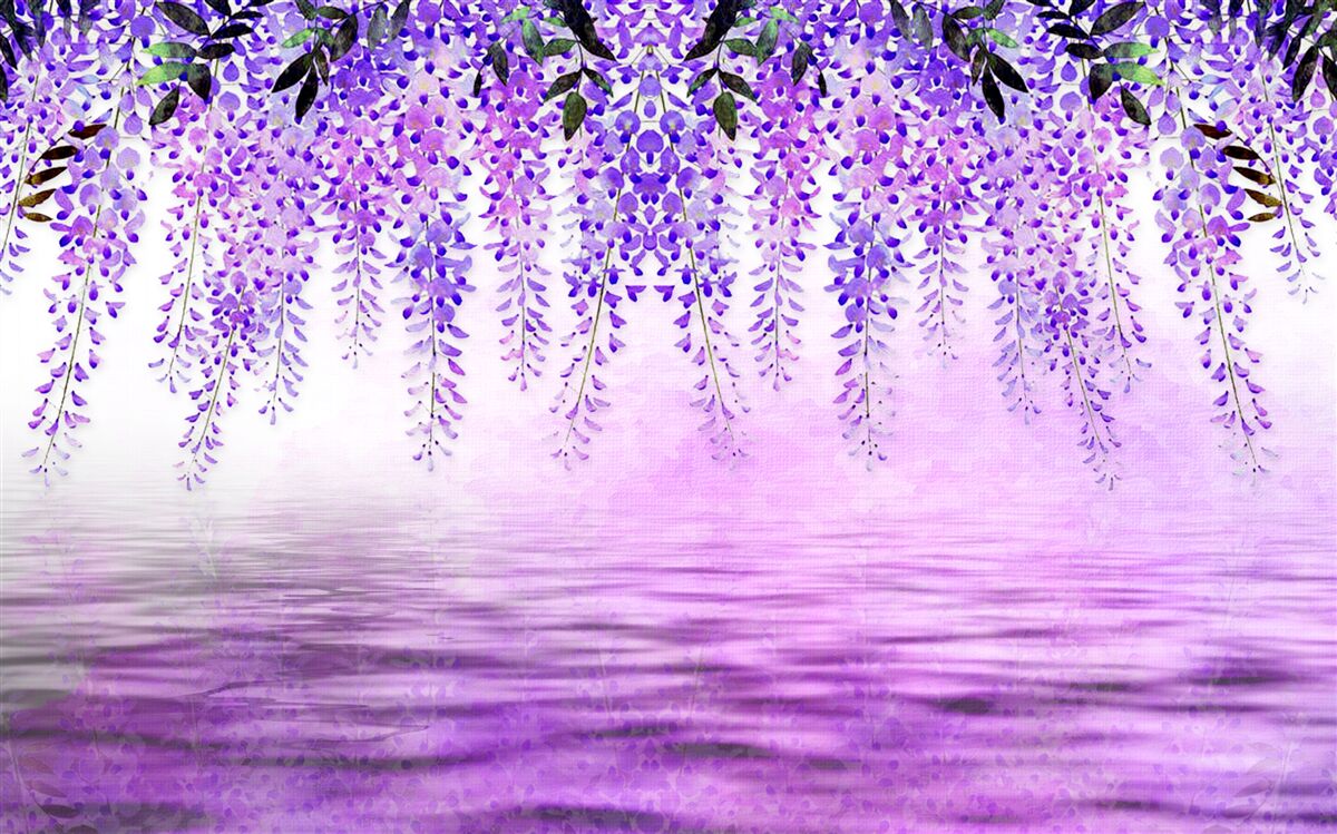 Fototapeta wisteria s fialovým odtieňom na pozadí rovnakej farby