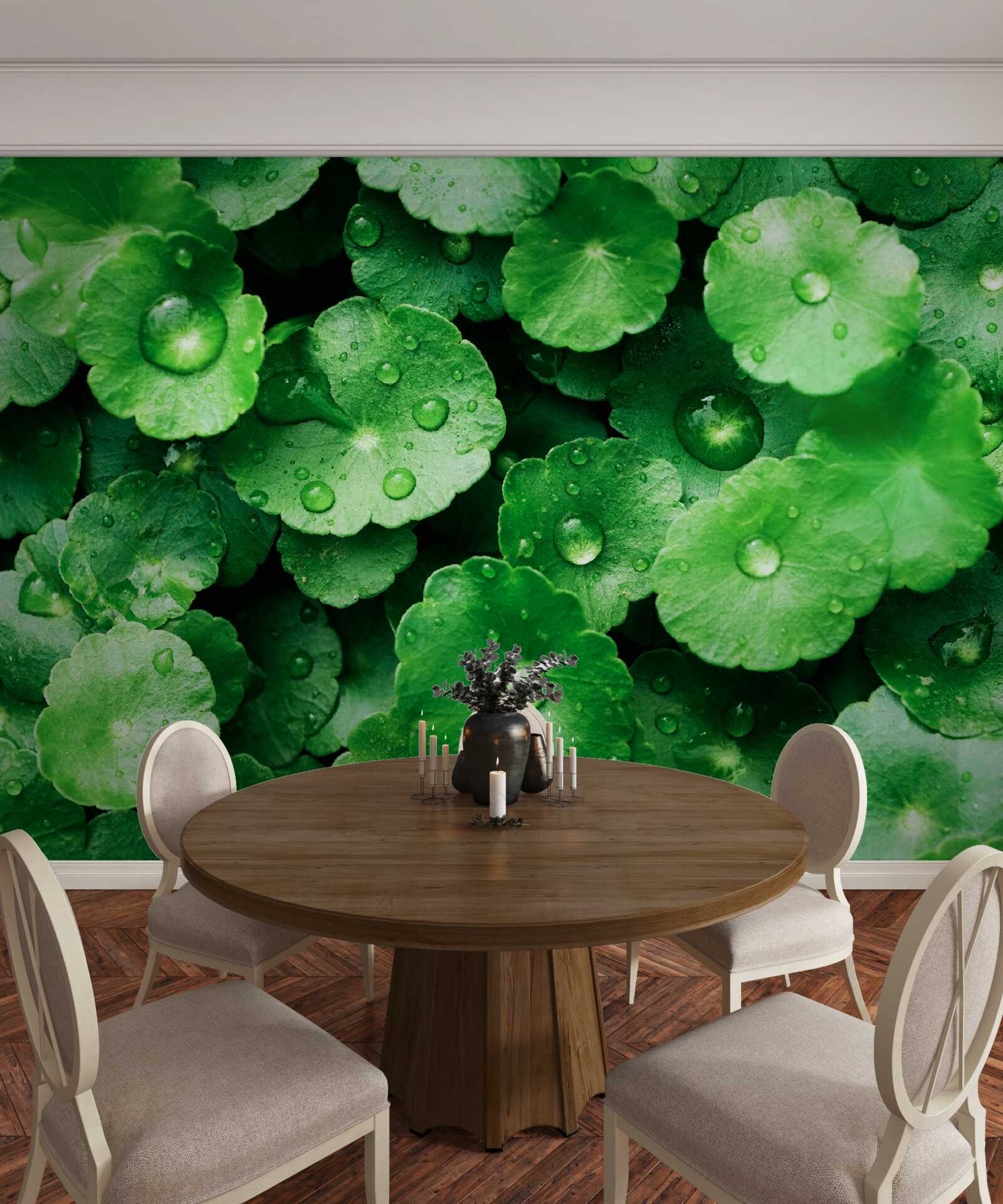 Fototapeta zelené listy pokryté kvapkami sladkej vody