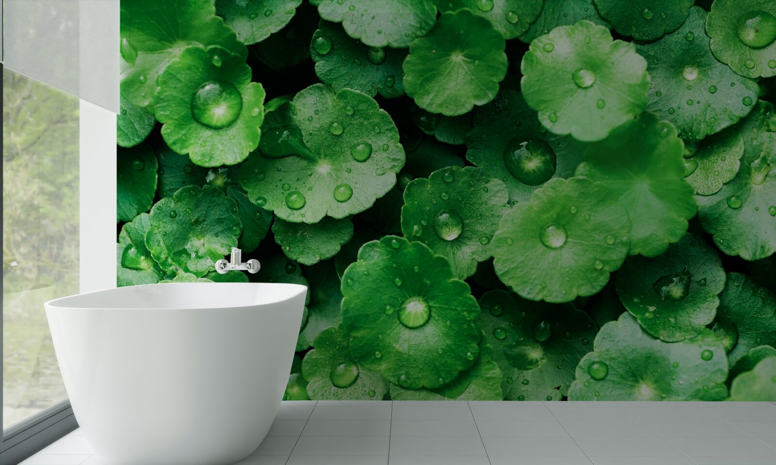 Fototapeta zelené listy pokryté kvapkami sladkej vody
