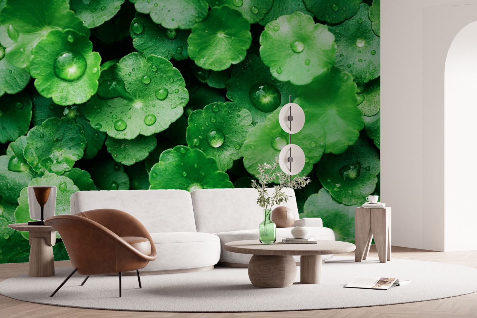 Fototapeta zelené listy pokryté kvapkami sladkej vody