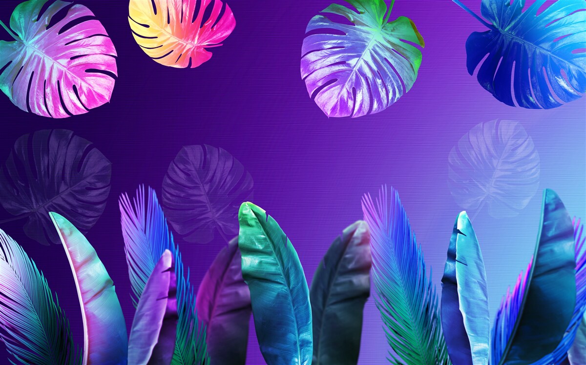 Fototapeta tropické listy v gradientných odtieňoch