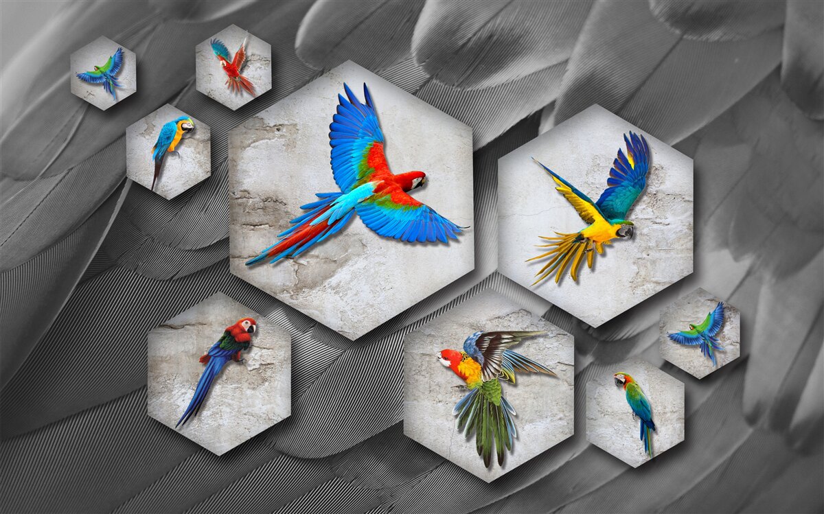 Fototapeta rôzne druhy farebných papagájov