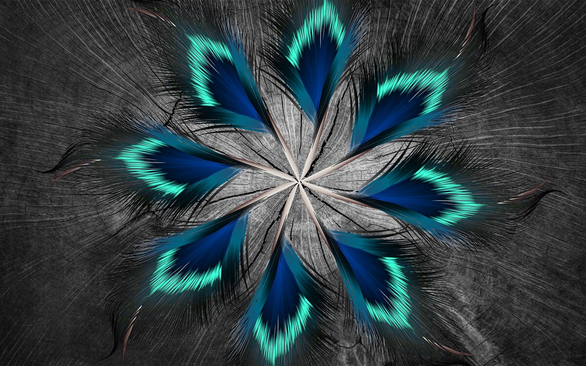 Fototapeta pávie pierka v tvare hviezdy s abstraktným vzorom