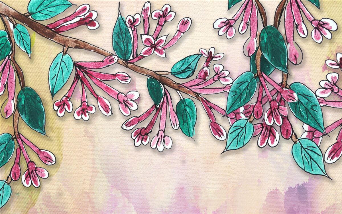 Fototapeta vetva sakury kvitne a odchádza