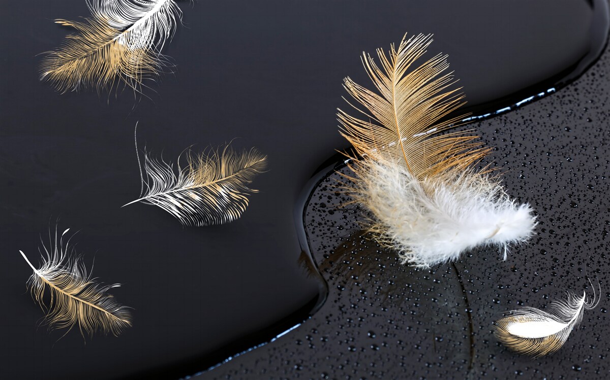 Fototapeta jemné snehobiele a zlaté páperie