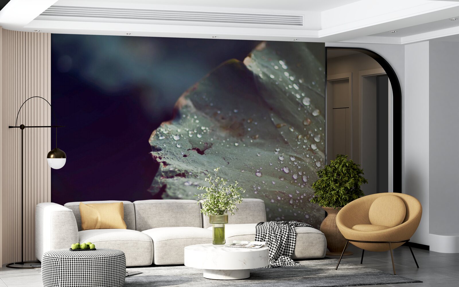 Fototapeta zrnká skorej rosy na liste