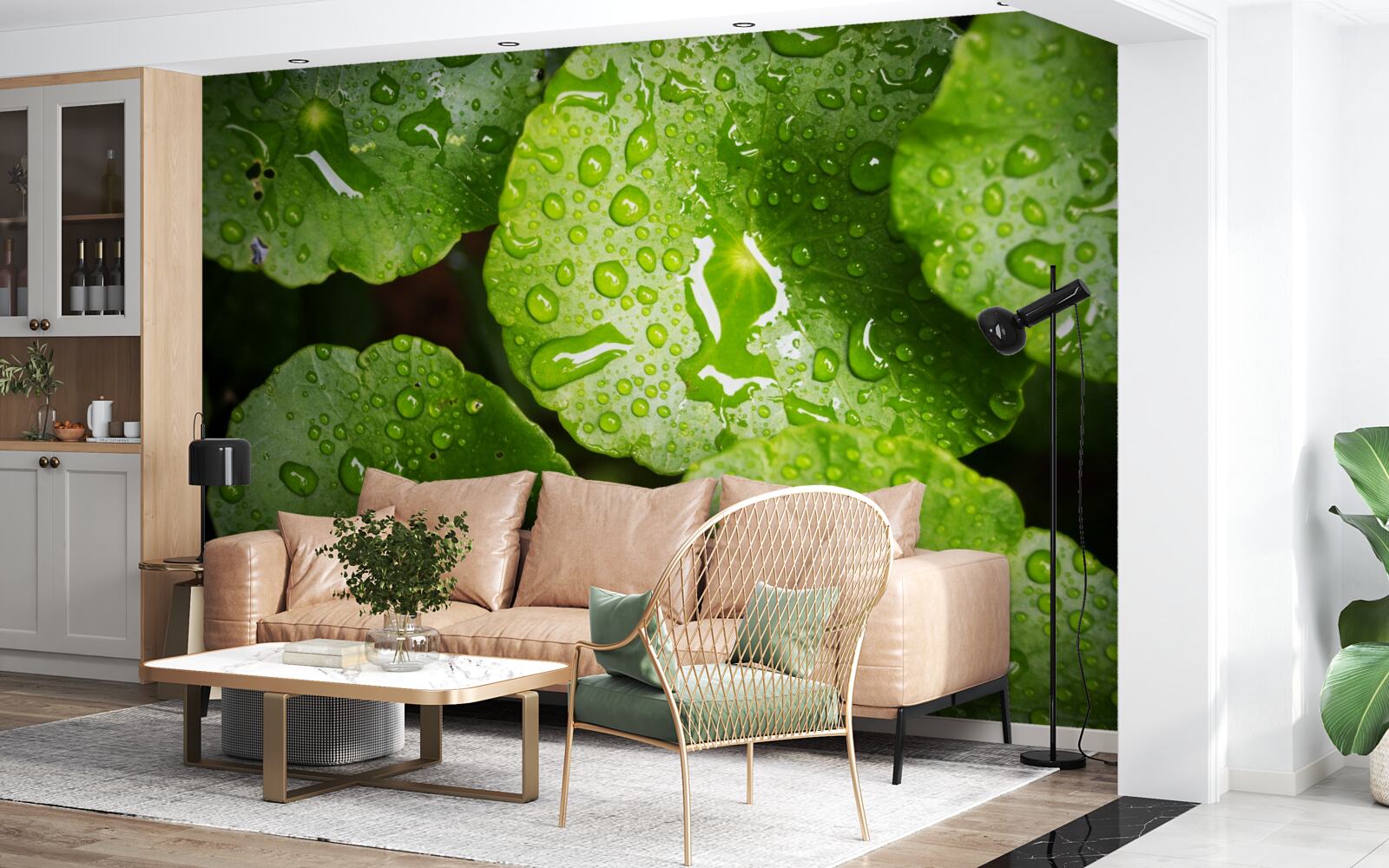 Fototapeta listy umyté kvapkami dažďa nadobudli sýty zelený odtieň