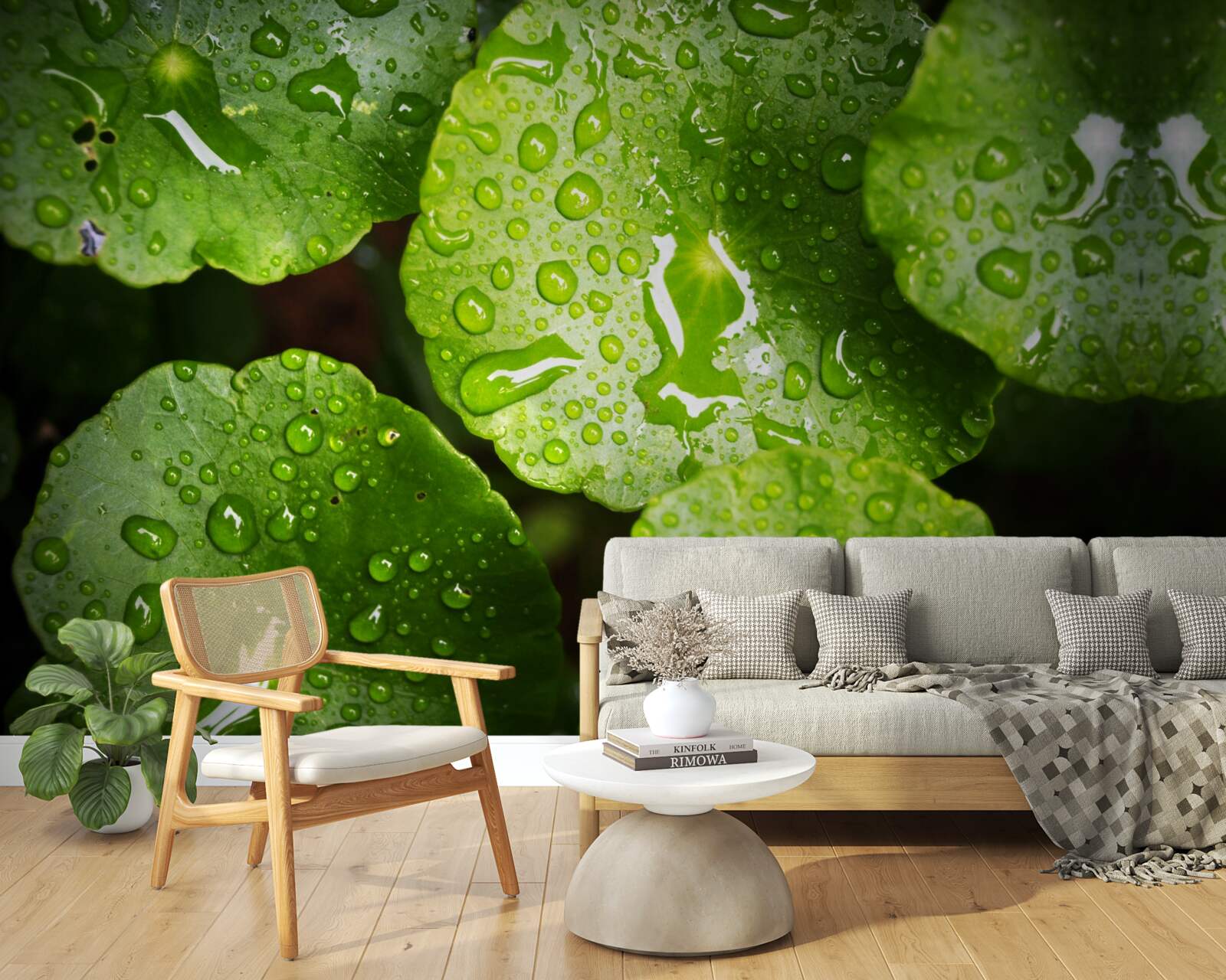 Fototapeta listy umyté kvapkami dažďa nadobudli sýty zelený odtieň