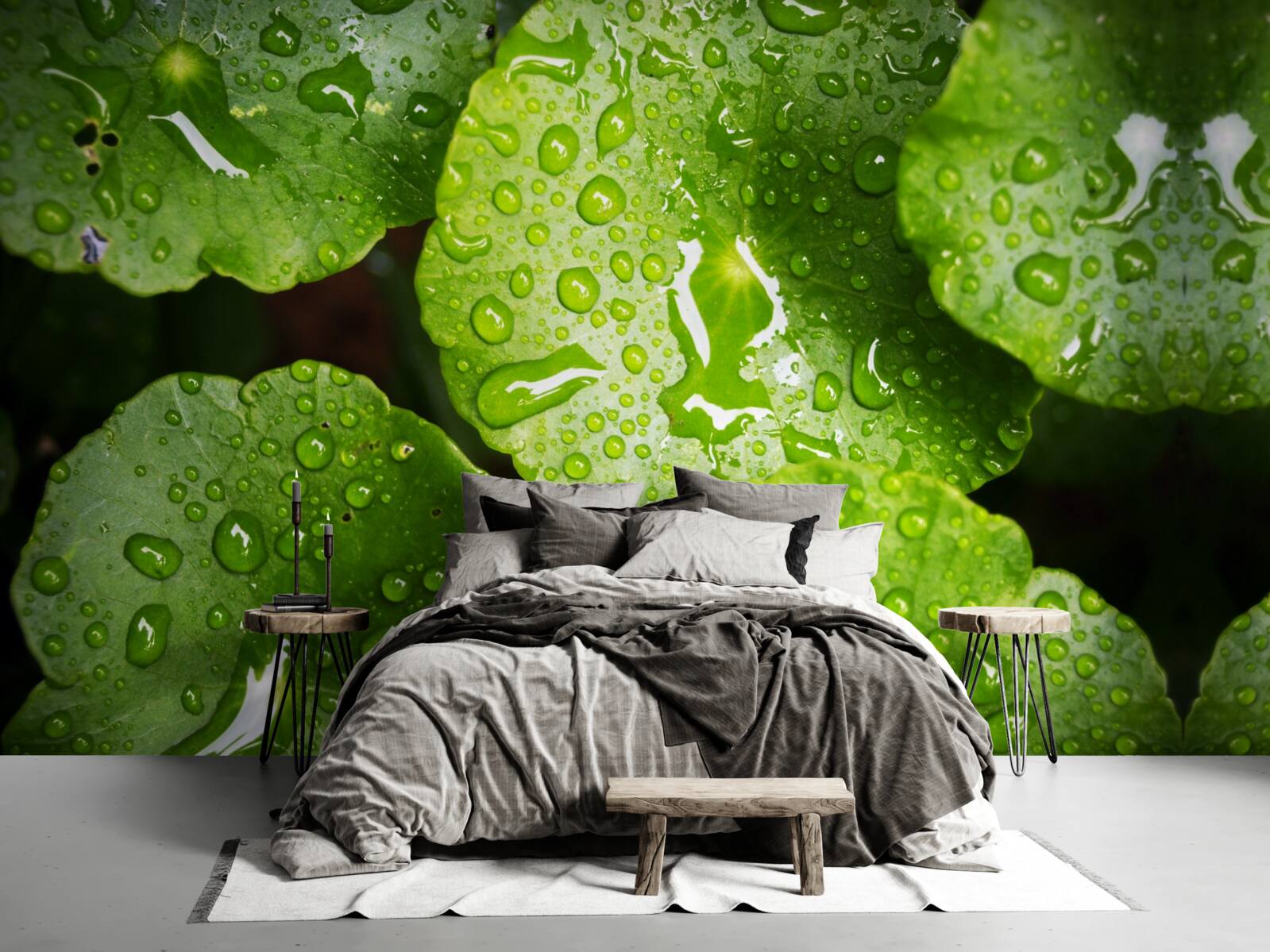 Fototapeta listy umyté kvapkami dažďa nadobudli sýty zelený odtieň