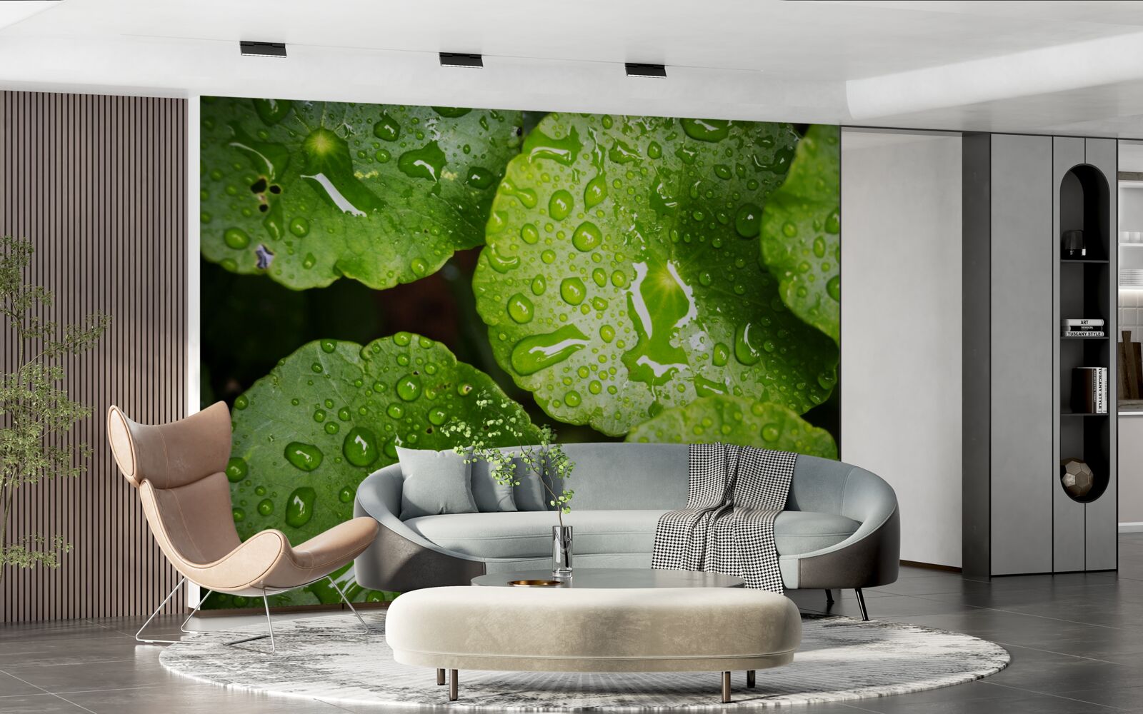 Fototapeta listy umyté kvapkami dažďa nadobudli sýty zelený odtieň