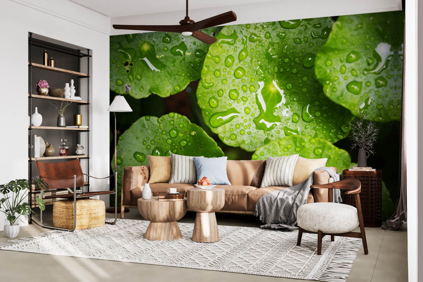 Fototapeta listy umyté kvapkami dažďa nadobudli sýty zelený odtieň