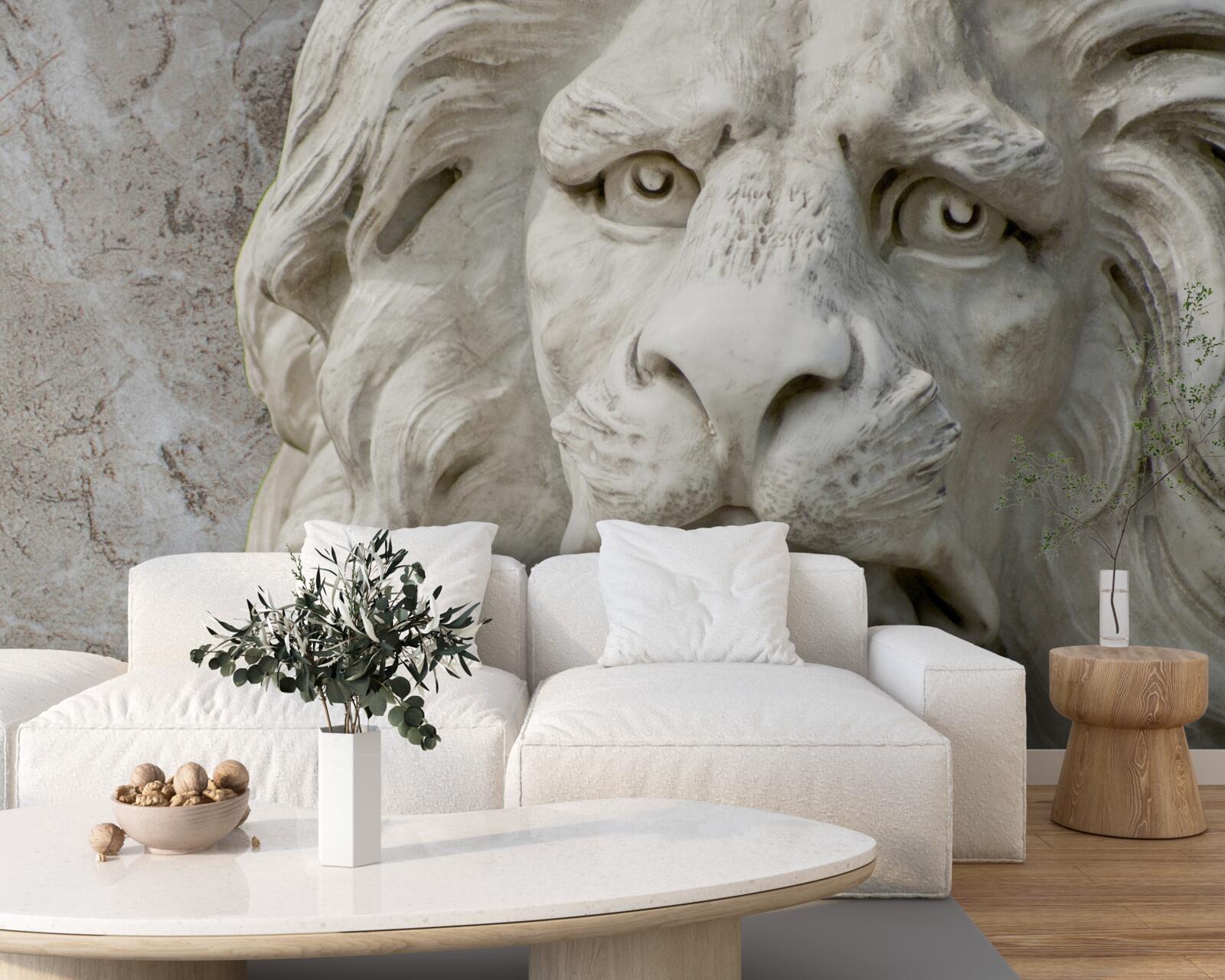 Fototapeta levia hlava v basreliéfe