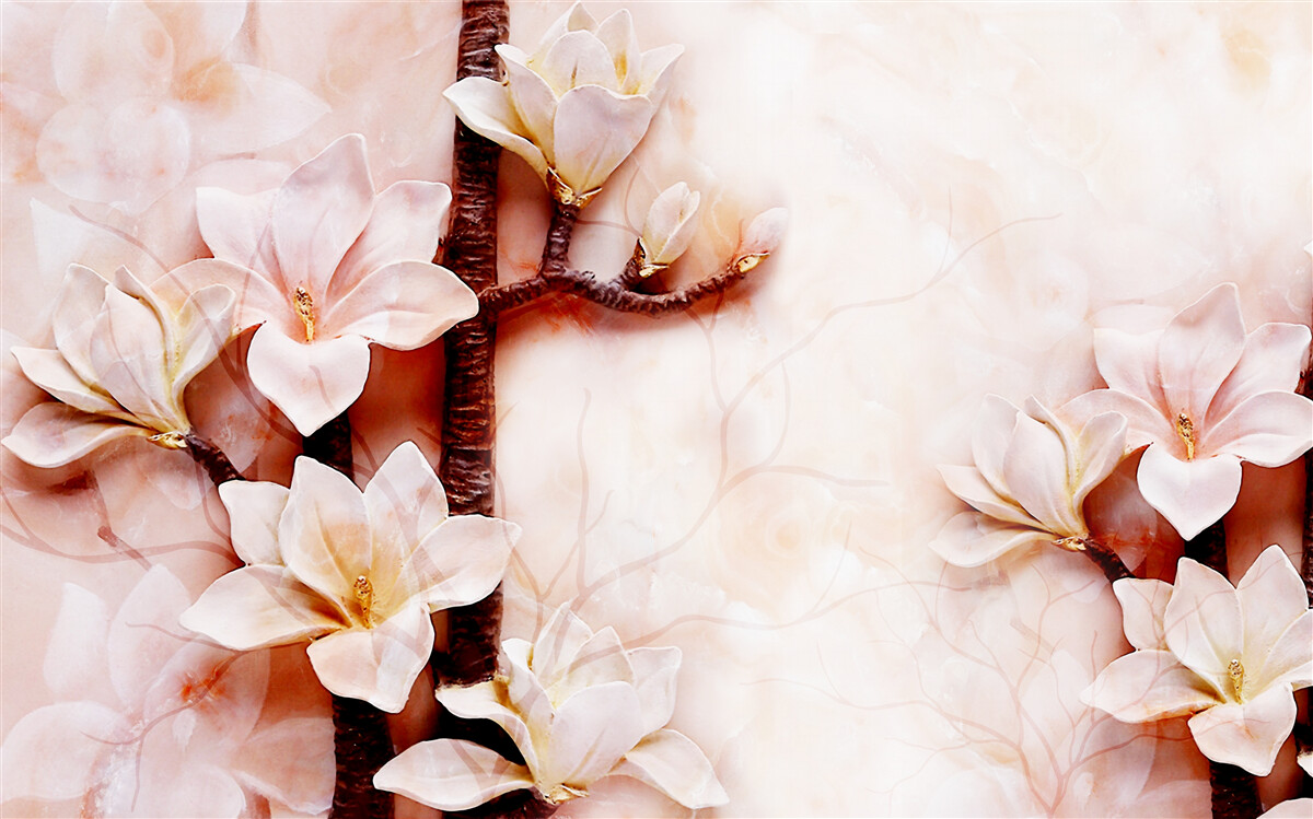 Fototapeta konáre pôvabnej ružovkastej magnólie