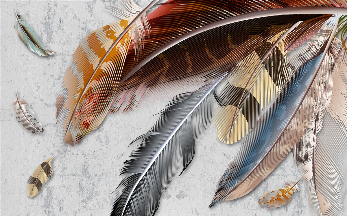 Fototapeta perie rôznych druhov vtákov