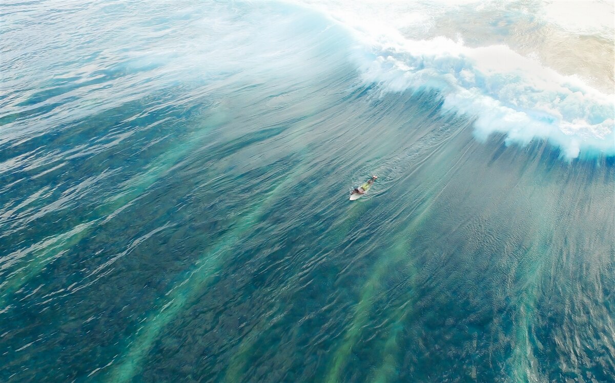 Fototapeta prekonávanie morských vĺn surfovaním