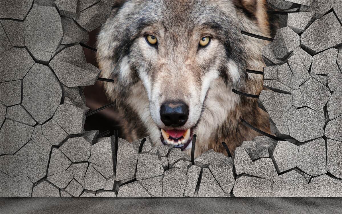 Fototapeta vlk z lesa ničí múr