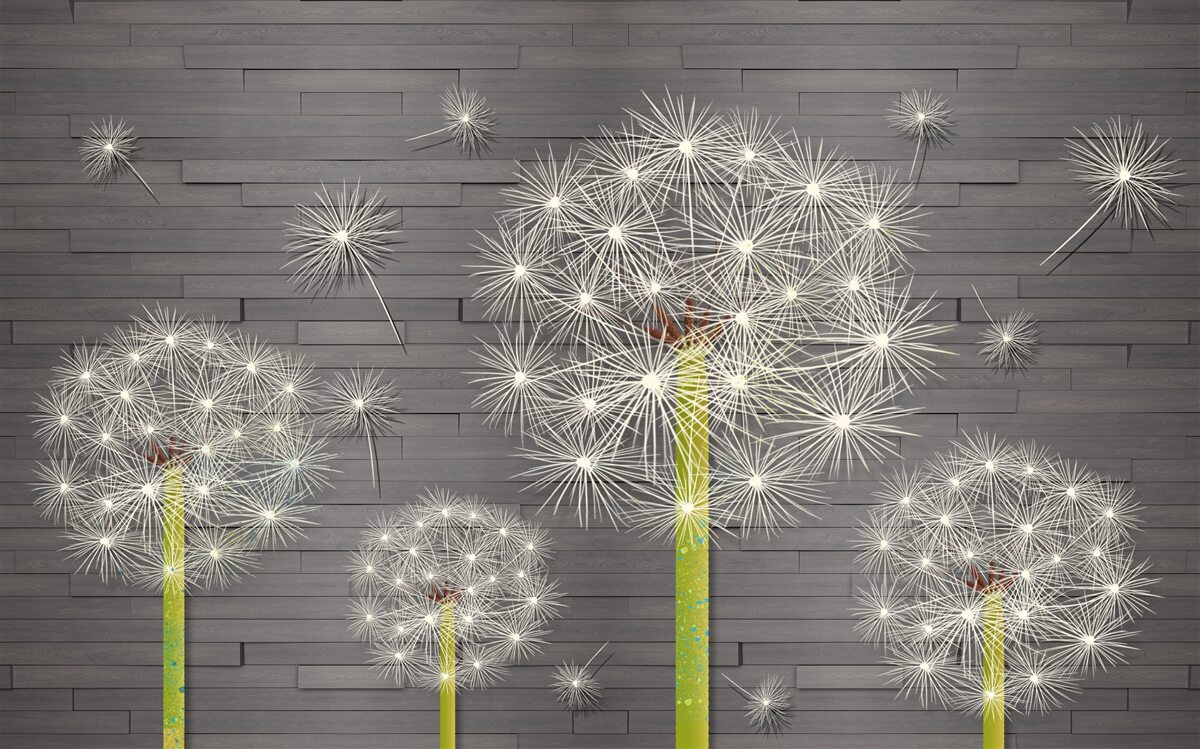 Fototapeta letné púpavy