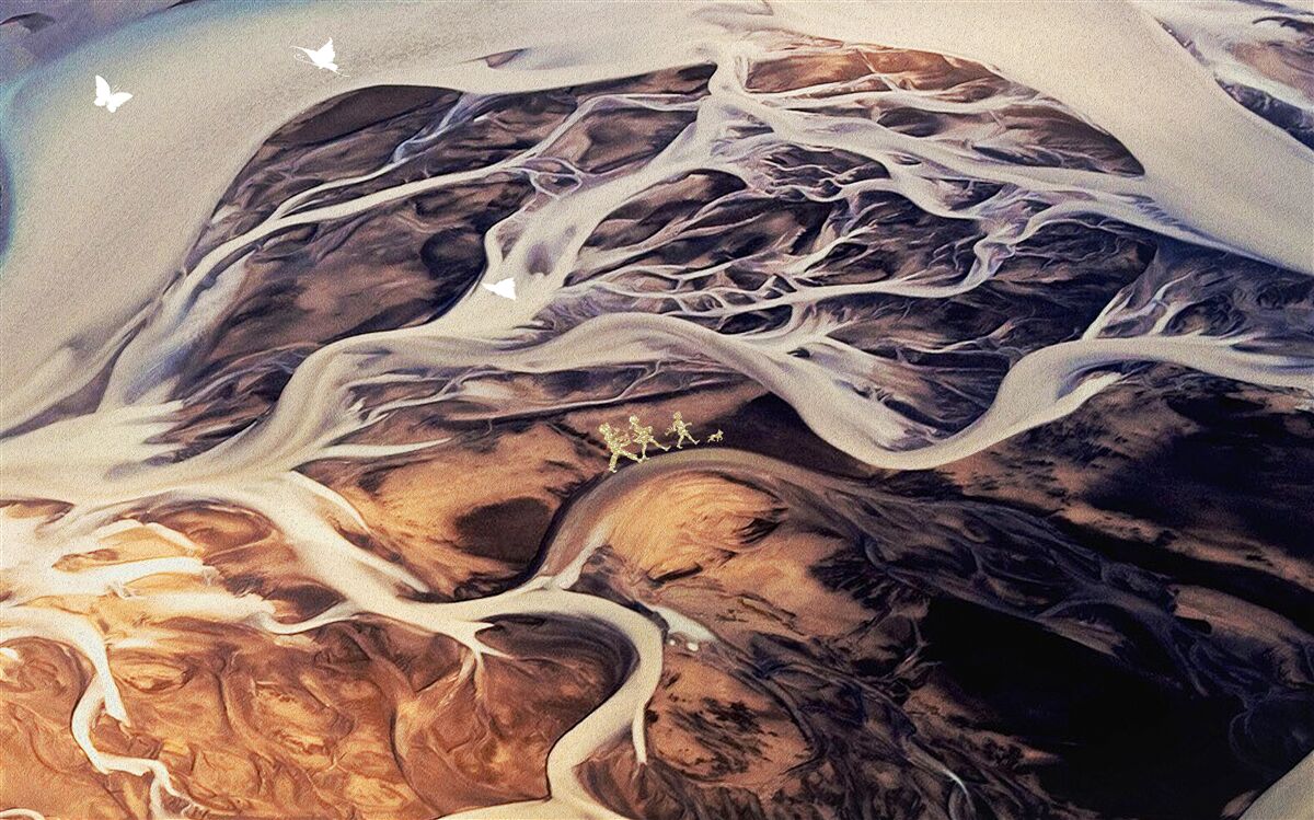 Fototapeta falošná silueta stromu nakreslená v piesku