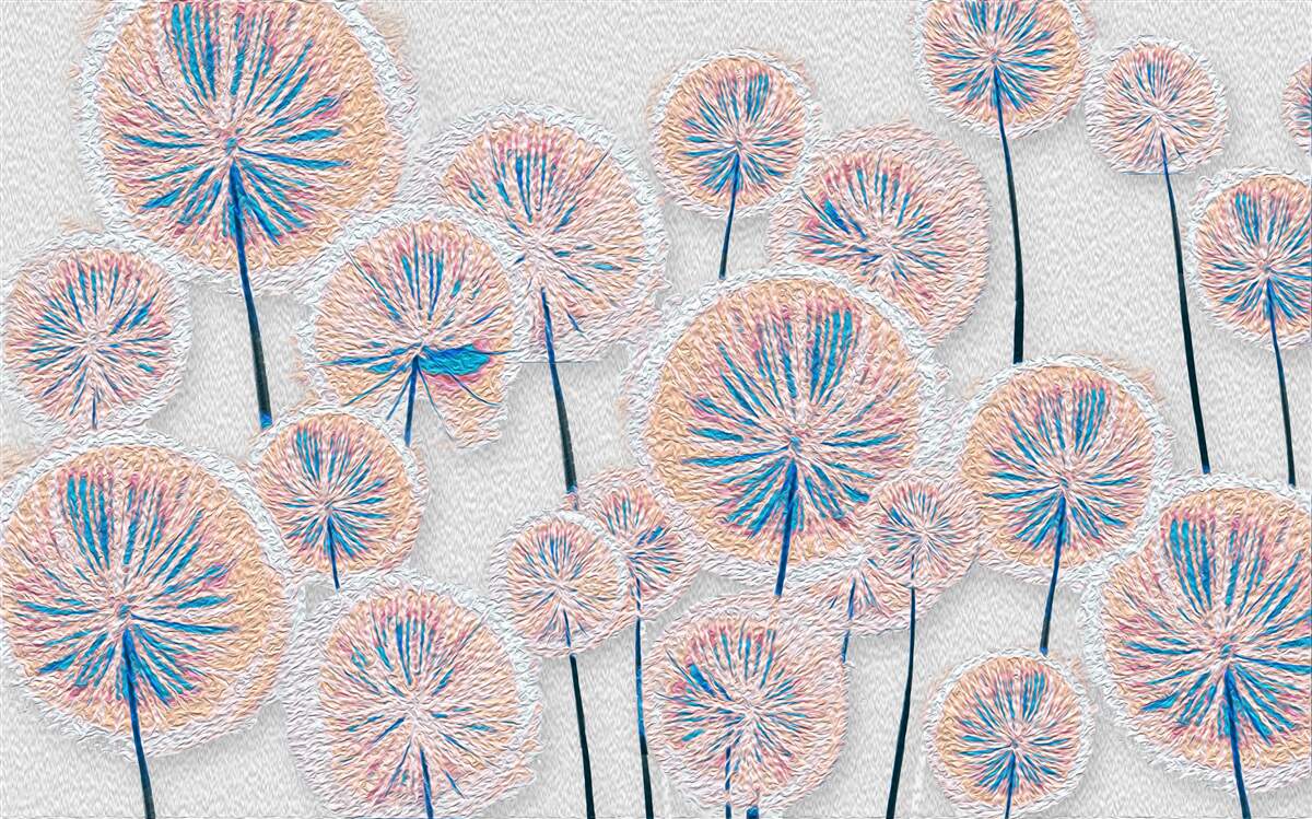 Fototapeta púpava vo vrcholnom období kvitnutia