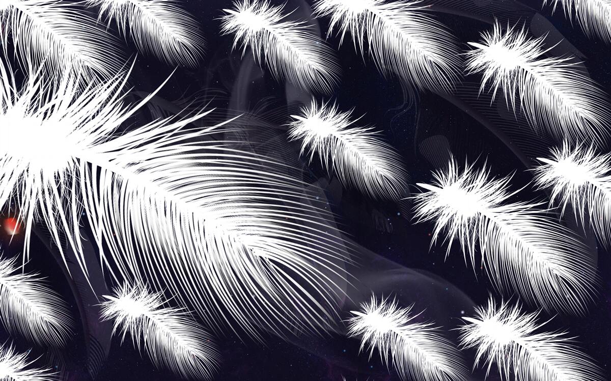 Fototapeta perie je biele, mäkké a nadýchané