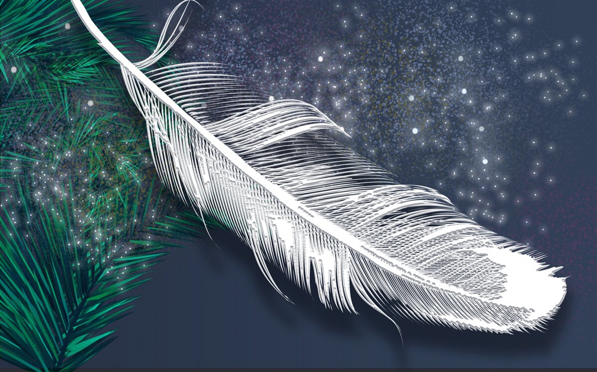 Fototapeta objemové snehovo biele perie