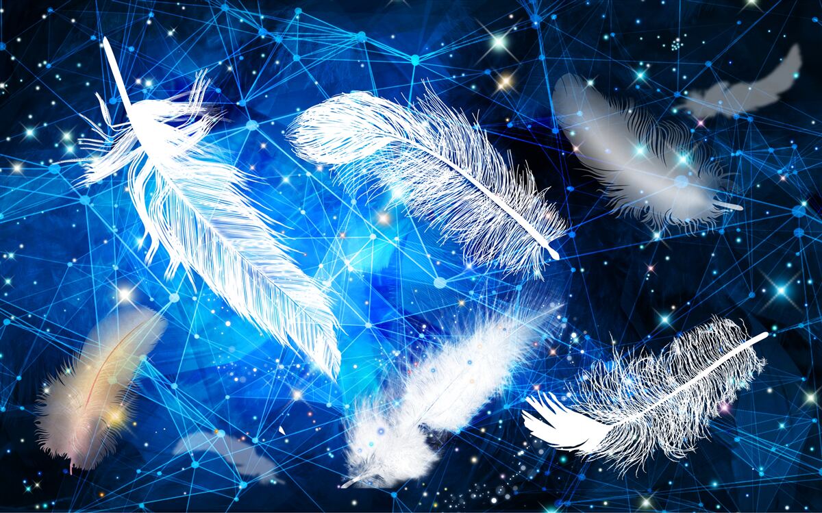 Fototapeta hviezdna obloha ako pozadie pre biele perie